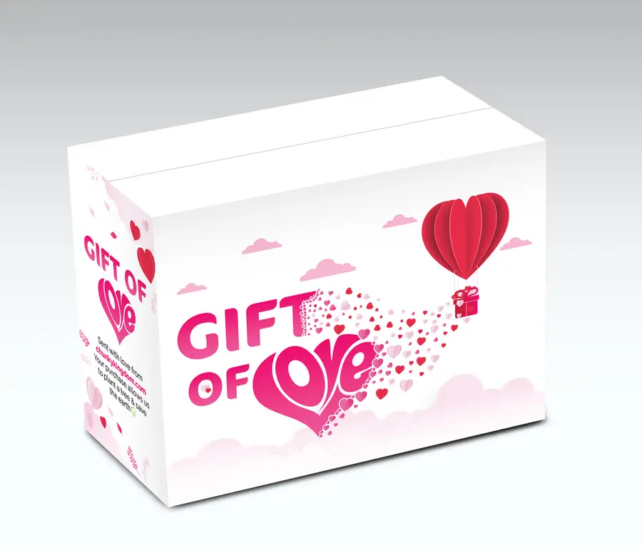 Tray & Sleeve — Photo Box Packaging