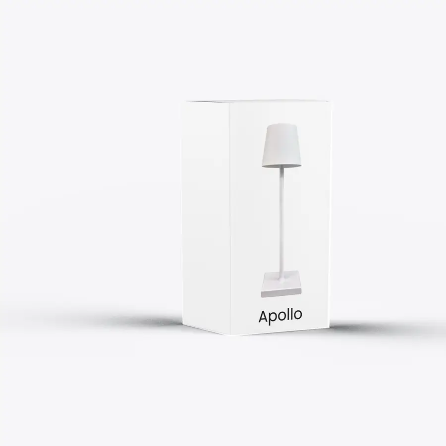 Watch Packaging Boxes — custom printed packaging by ECO Packaging Masters